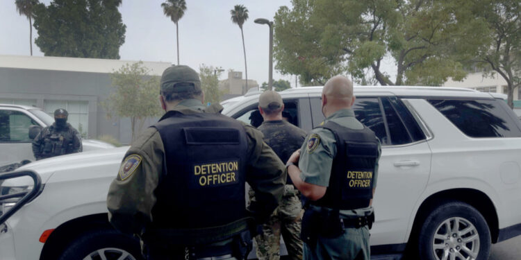 Arranca en Charlotte el operativo “La telaraña de Charlotte” con 81 migrantes detenidos