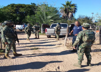 Operativos federales dejan decenas de detenidos y miles de kilos de droga asegurada en 16 estados de México