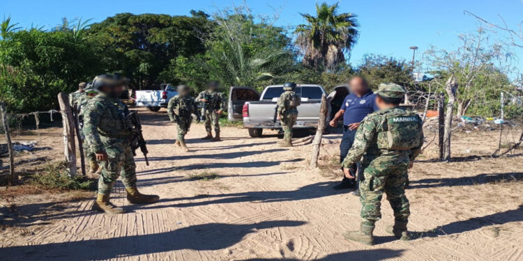 Operativos federales dejan decenas de detenidos y miles de kilos de droga asegurada en 16 estados de México