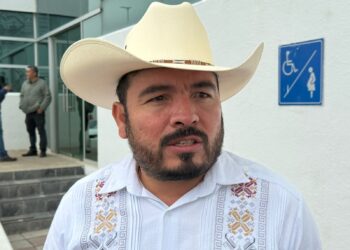 ¡González florece! Preparan gran fiesta turística entre miles de girasoles