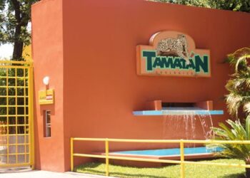 Aclara Zoológico Tamatán: no se escapó ningún mono; se trató de un protocolo de acoplamiento