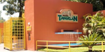 Aclara Zoológico Tamatán: no se escapó ningún mono; se trató de un protocolo de acoplamiento