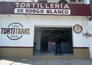 Del campo tamaulipeco a la mesa: tortillas de sorgo conquistan a Victoria