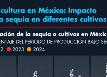 Cultivos agrícolas afectados por sequía en México