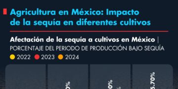Cultivos agrícolas afectados por sequía en México