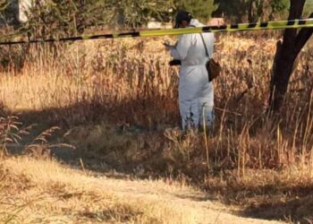 Cuerpos localizados en fosa clandestina en terrenos agrícolas de Villagrán