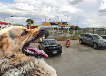 Parque Colorines en Nuevo Laredo donde ocurrió agresión canina
