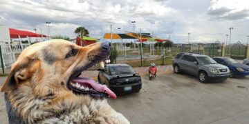 Parque Colorines en Nuevo Laredo donde ocurrió agresión canina
