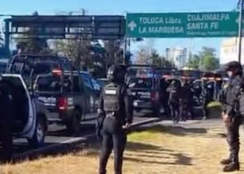 Refugio Franciscano en cateo por maltrato animal en CDMX