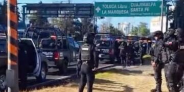 Refugio Franciscano en cateo por maltrato animal en CDMX