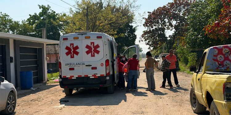 Paramédicos atienden a personas tras ataque de perro en colonia