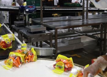 Producción y certificación de alimentos orgánicos en México