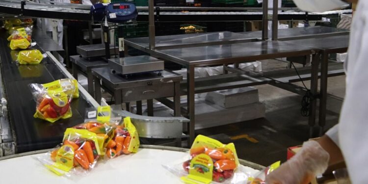 Producción y certificación de alimentos orgánicos en México