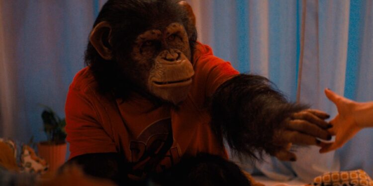 Miguel Torres Umba caracterizado como chimpancé en película Primate