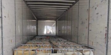 Tractocamión detenido con hidrocarburo en carretera Tamaulipas