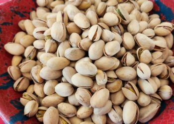 Producción y consumo de pistaches en México y Estados Unidos