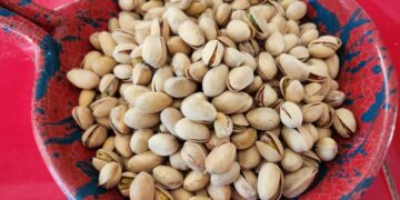 Producción y consumo de pistaches en México y Estados Unidos