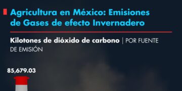 Gráfico de emisiones de gases de efecto invernadero en agricultura