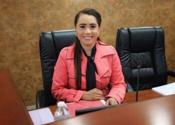 Diputada Alejandra Ang en una conferencia de prensa