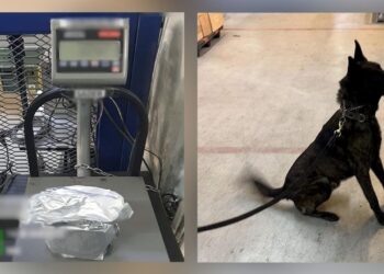 Paquete con fentanilo asegurado en el Aeropuerto Internacional de la Ciudad de México