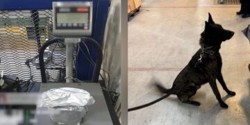 Paquete con fentanilo asegurado en el Aeropuerto Internacional de la Ciudad de México