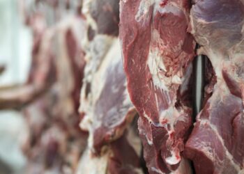 Carne de res en proceso de venta y producción en México