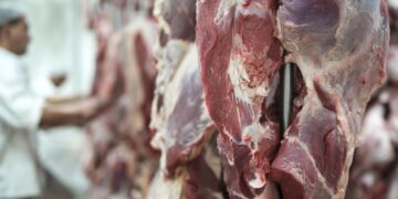 Carne de res en proceso de venta y producción en México
