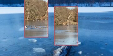 Hombre rescatado en río congelado con perro al lado