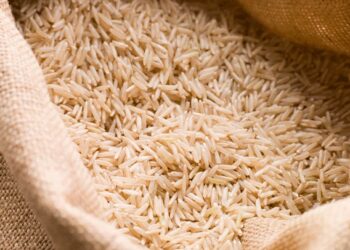 Contenedores de arroz y carnes para importación en México