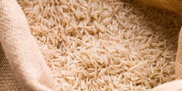 Contenedores de arroz y carnes para importación en México