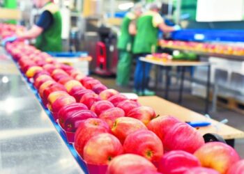 Manzanas importadas de Estados Unidos en mercado mexicano