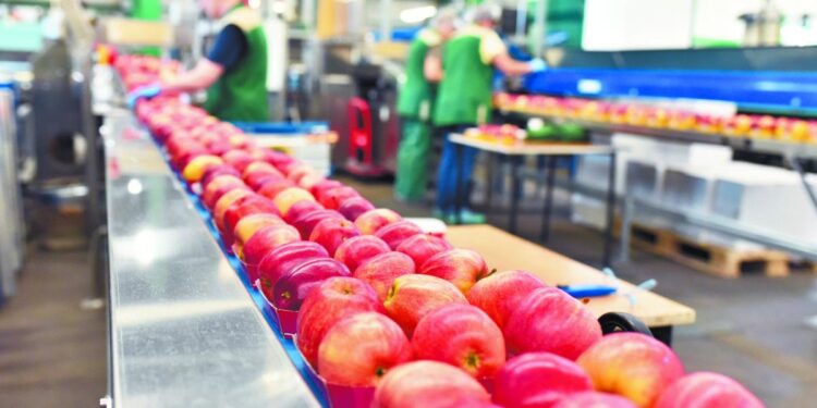 Manzanas importadas de Estados Unidos en mercado mexicano