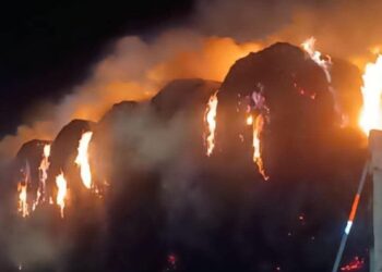 Tractocamión incendiado en carretera federal kilómetro 107