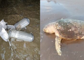 Costas de playa Bagdad afectadas por fragmentos de cohete SpaceX