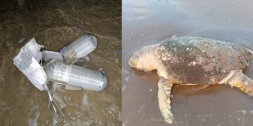 Costas de playa Bagdad afectadas por fragmentos de cohete SpaceX