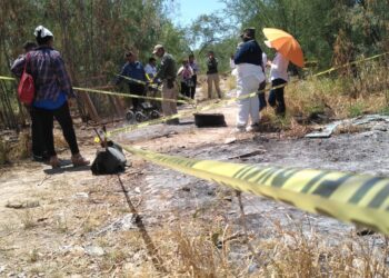 Madres buscadoras realizando búsqueda en terreno en Tamaulipas