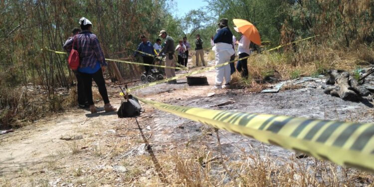 Madres buscadoras realizando búsqueda en terreno en Tamaulipas
