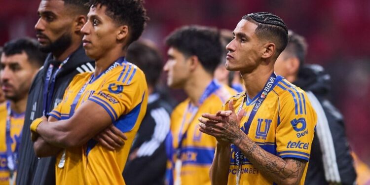 Partido de Tigres en Liga MX contra San Luis en estadio Alfonso Lastras