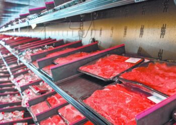 cubos de carne en mercado nacional mexicano