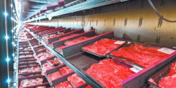 cubos de carne en mercado nacional mexicano