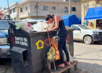 Mercado de Tampico con personas recogiendo verduras