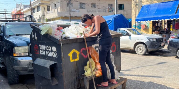 Mercado de Tampico con personas recogiendo verduras