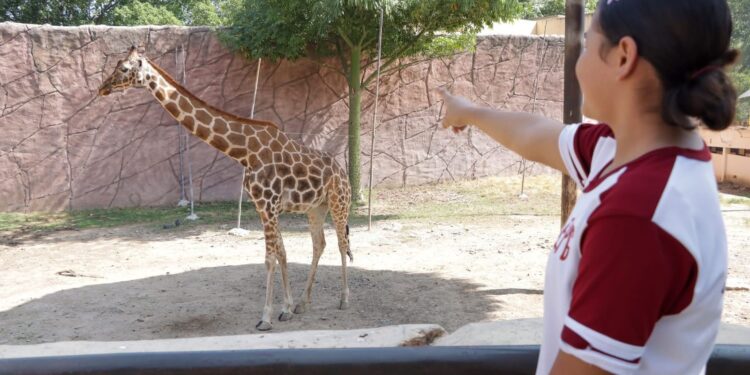 Ofrece Comisión de Parques Zoo Visitas