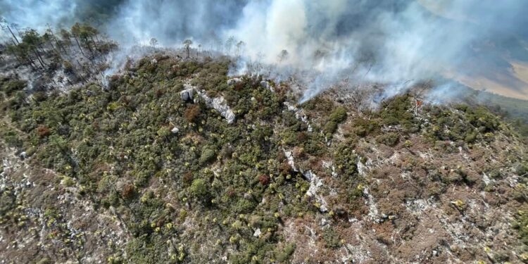 Avanza al 70 % control del incendio “Puerto del Volcán” en Miquihuana