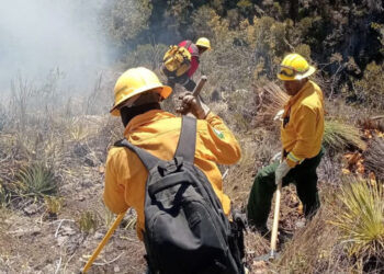 Reportan 80% de control en incendio forestal en Bustamante; continúan labores para su extinción