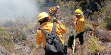 Reportan 80% de control en incendio forestal en Bustamante; continúan labores para su extinción