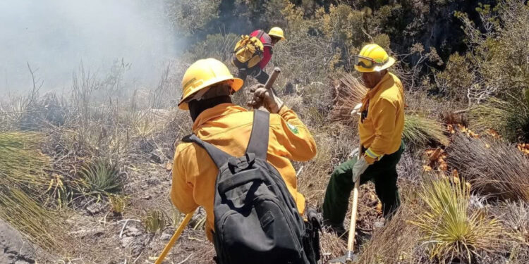 Reportan 80% de control en incendio forestal en Bustamante; continúan labores para su extinción