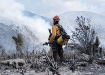 Controlan incendio forestal en Bustamante; afectó más de 200 hectáreas