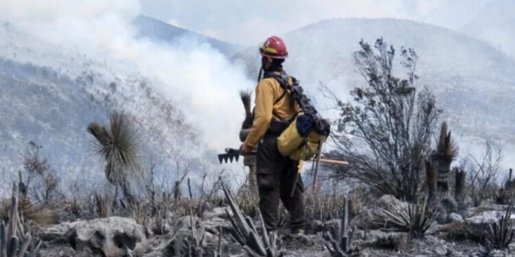 Controlan incendio forestal en Bustamante; afectó más de 200 hectáreas