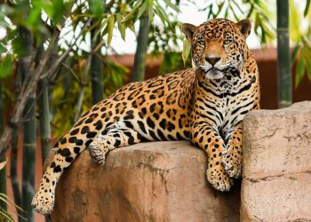 Zoológico Tamatán recibe a visitantes con espacios renovados durante el período vacacional